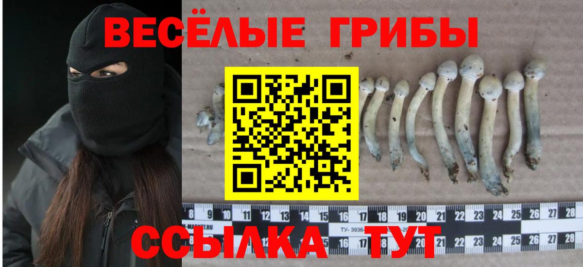 Приморско-Ахтарск  Псилоцибиновые грибы мухоморы  Вход с VPN 